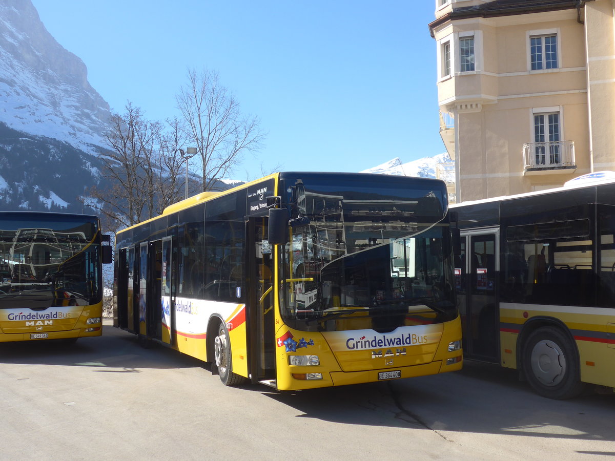 (223'841) - Grindelwaldbus, Grindelwald - Nr. 24/BE 364'408 - MAN/Gppel am 28. Februar 2021 beim Bahnhof Grindelwald