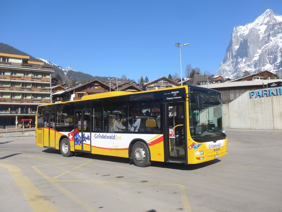 (223'881) - Grindelwaldbus, Grindelwald - Nr. 14/BE 202'568 - MAN/Gppel am 28. Februar 2021 beim Bahnhof Grindelwald