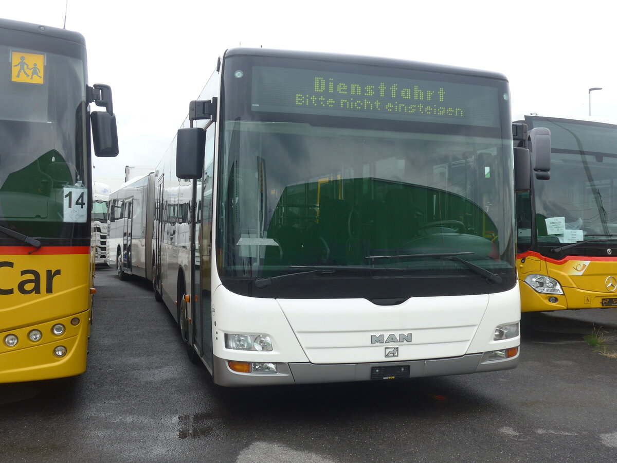 (226'186) - Interbus, Yverdon - Nr. 204 - MAN (ex St. Gallerbus, St. Gallen Nr. 297) am 4. Juli 2021 in Kerzers, Interbus