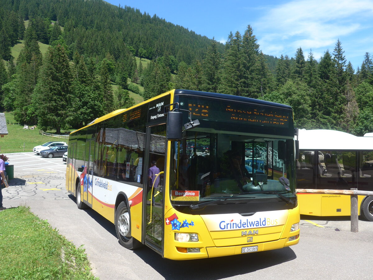 (226'270) - Grindelwaldbus, Grindelwald - Nr. 11/BE 261'865 - MAN/Gppel am 10. Juli 2021 auf der Schwarzwaldalp