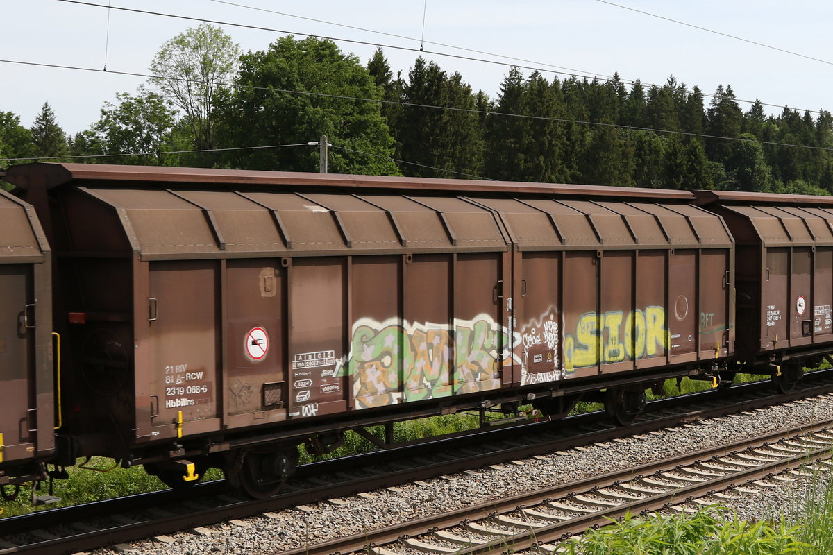2319 068 (Hbbillns) am 3. Juni 2020 bei Grabenst�tt.