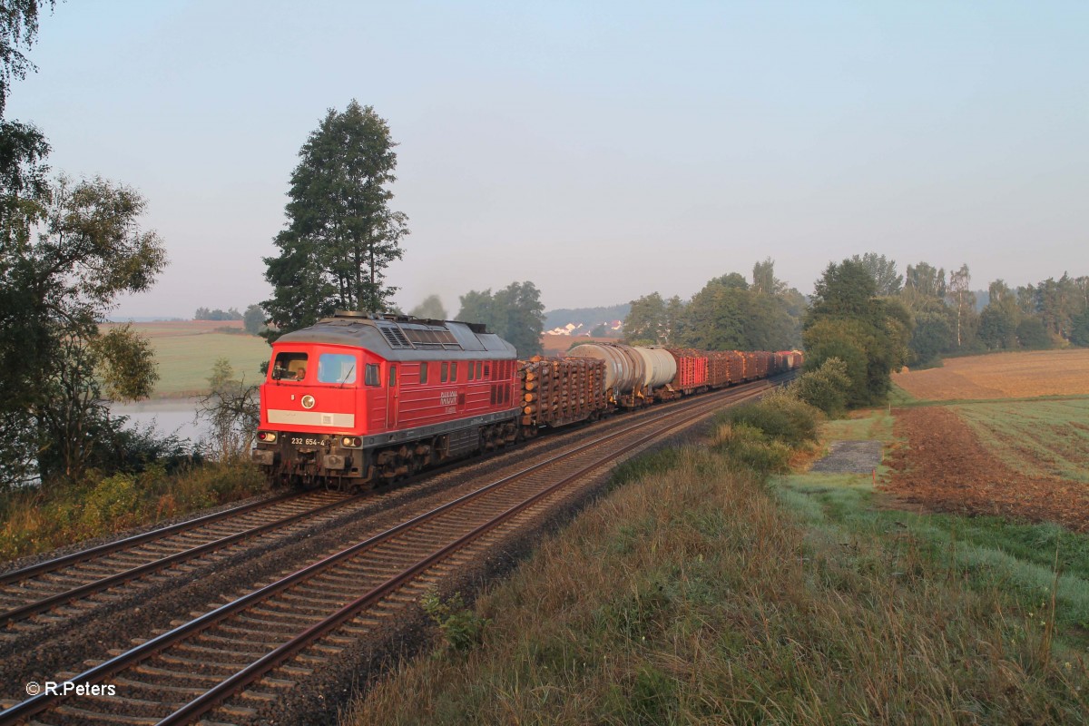 232 654-4 mit dem 45367 N�rnberg - Cheb bei Escheldorf. 30.08.13