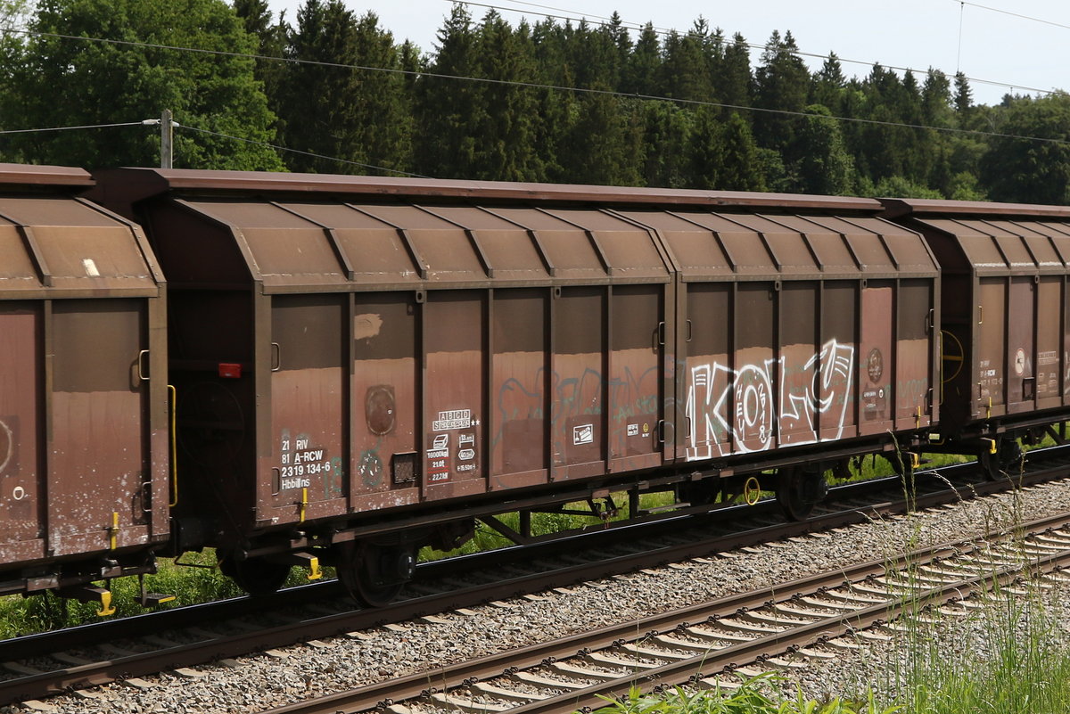 2329 134 (Hbbillns) am 3. Juni 2020 bei Grabenst�tt.