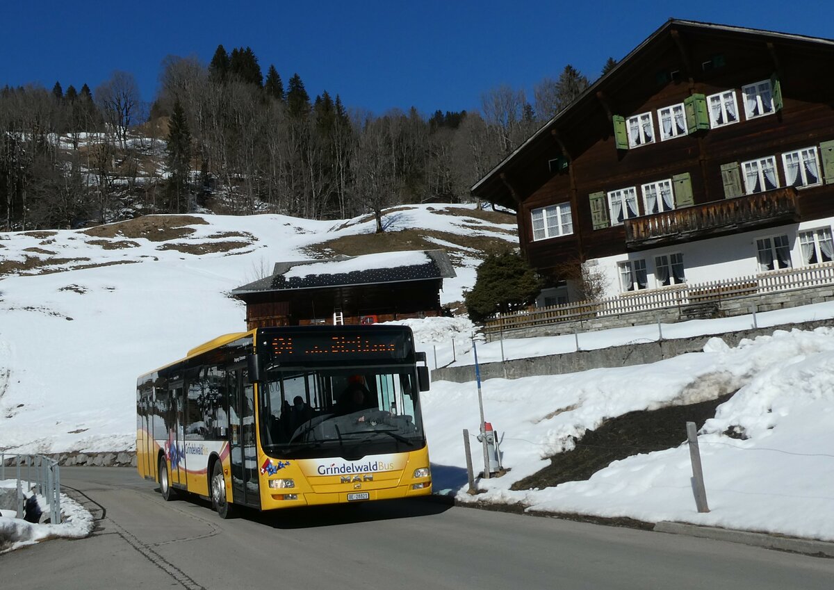 (233'264) - Grindelwaldbus, Grindelwald - Nr. 16/BE 28'821 - MAN am 27. Februar 2022 in Grindelwald, Klusi