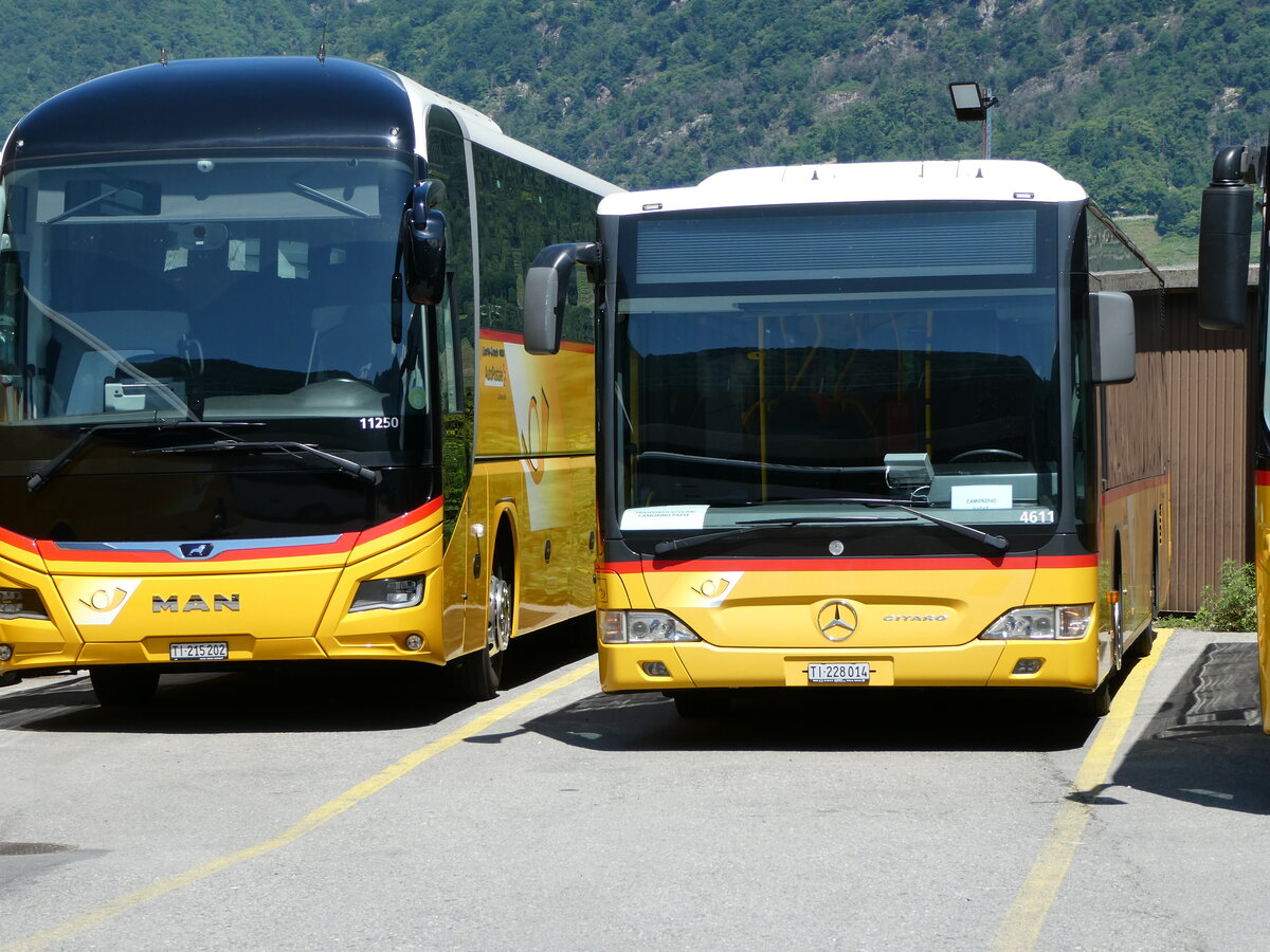 (236'262) - AutoPostale Ticino - TI 228'014 - Mercedes am 26. Mai 2022 in Cadenazzo, Volvo