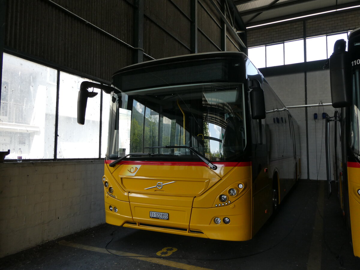 (236'311) - AutoPostale Ticino - TI 122'855 - Volvo (ex Autopostale, Tesserete) am 26. Mai 2022 in Taverne, Garage