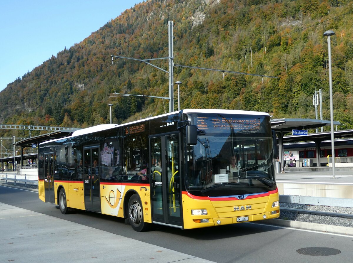 (241'474) - PostAuto Zentralschweiz - Nr. 1/OW 10'601 - MAN (ex Dillier, Sarnen Nr. 1) am 18. Oktober 2022 beim Bahnhof Interlaken Ost