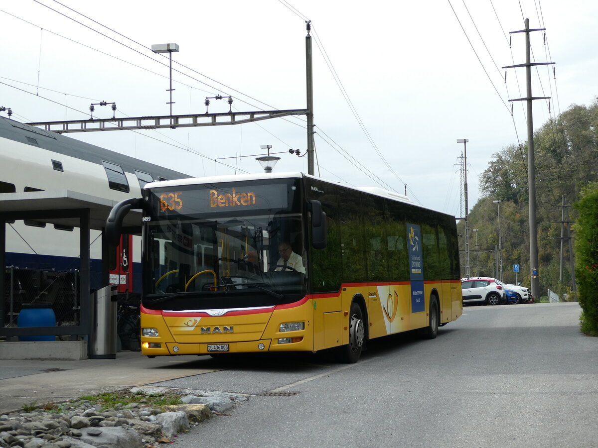(241'630) - PostAuto Ostschweiz - SG 436'003 - MAN am 20. Oktober 2022 beim Bahnhof Ziegelbrcke