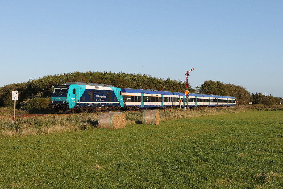 245 210 fuhr am 13. September 2023 bei Klanxb�ll in Richtung Westerland.