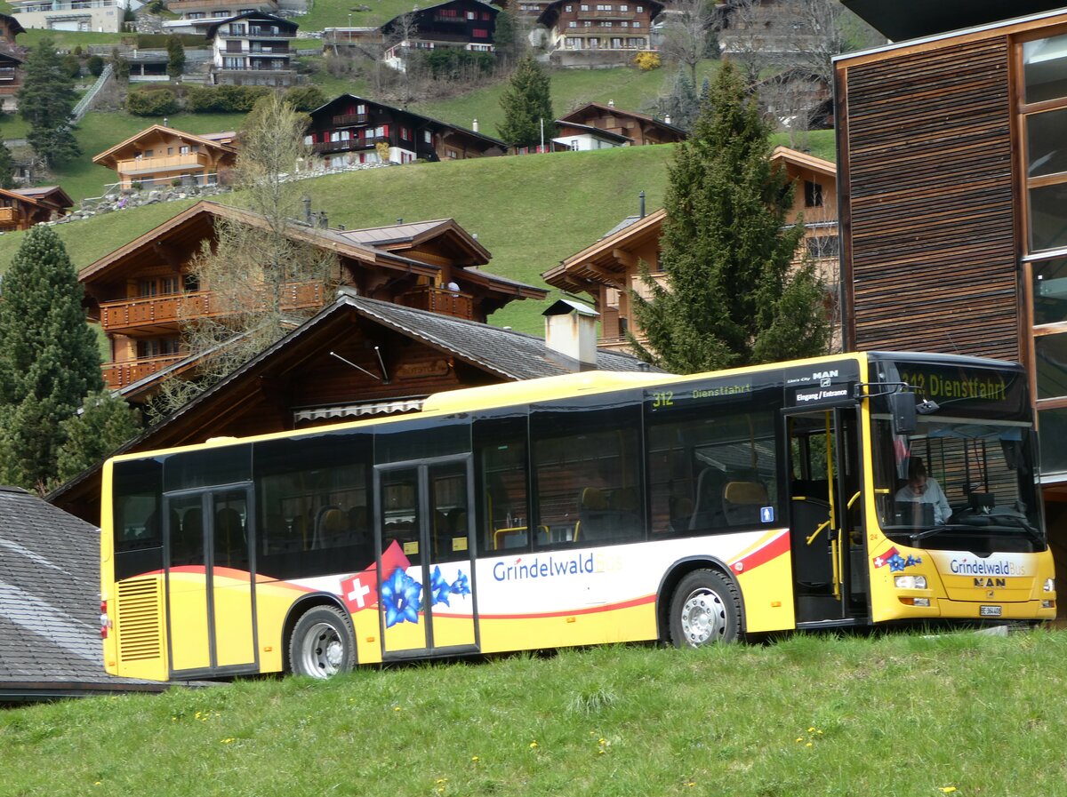 (248'809) - Grindelwaldbus, Grindelwald - Nr. 24/BE 364'408 - MAN/Gppel am 18. April 2023 in Grindelwald, Garage