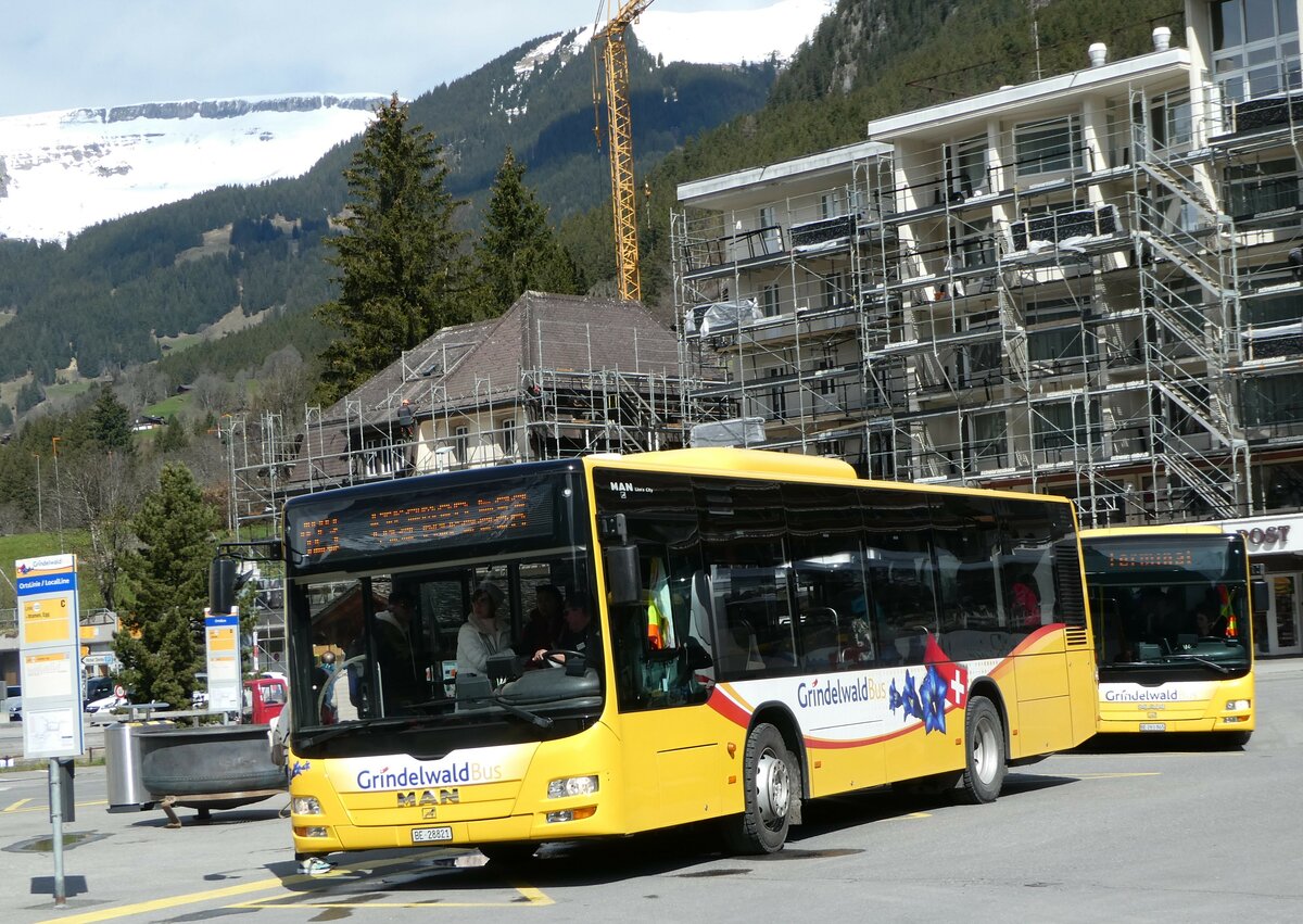 (248'948) - Grindelwaldbus, Grindelwald - Nr. 11/BE 28'821 - MAN am 21. April 2023 beim Bahnhof Grindelwald
