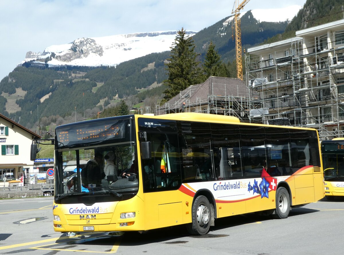(248'949) - Grindelwaldbus, Grindelwald - Nr. 16/BE 28'821 - MAN am 21. April 2023 beim Bahnhof Grindelwald