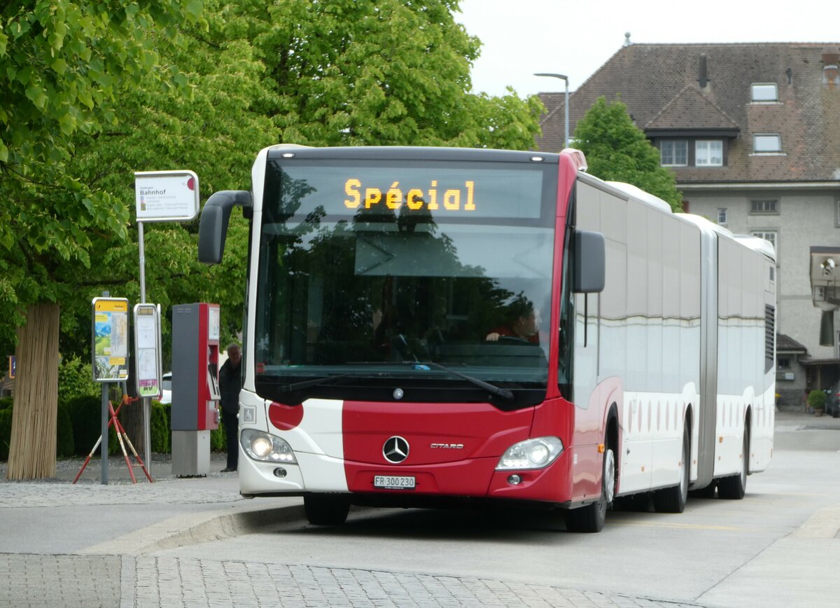 (250'291) - TPF Fribourg - Nr. 183/FR 300'300'230 - Mercedes am 20. Mai 2023 beim Bahnhof Ddingen