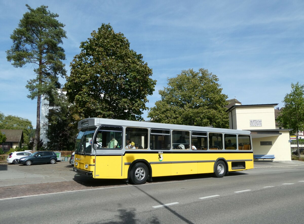 (255'307) - Wanner, Schleitheim - SH 48'096 - Saurer/Hess (ex Ruklic, Schaffhausen; ex VBSH Schaffhausen Nr. 40; ex VBSH Schaffhausen Nr. 19) am 17. September 2023 in Schaffhausen, Neubrunn