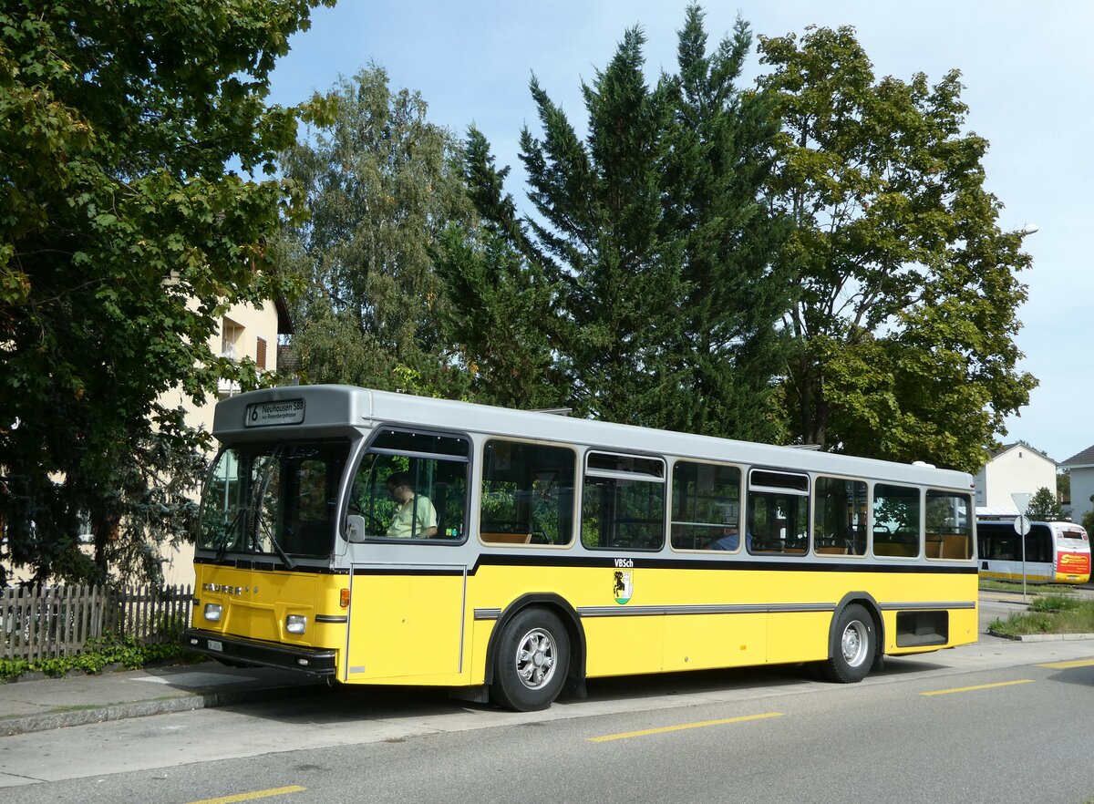 (255'347) - Wanner, Schleitheim - SH 48'096 - Saurer/Hess (ex Ruklic, Schaffhausen; ex VBSH Schaffhausen Nr. 40; ex VBSH Schaffhausen Nr. 19) am 17. September 2023 in Schaffhausen, Falkeneck