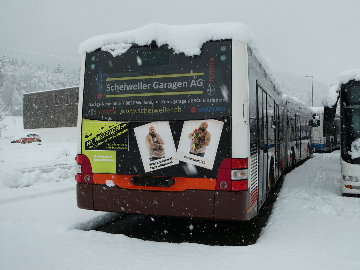 (257'376) - Bamert, Wollerau - (SZ 24'744) - MAN am 2. Dezember 2023 in Winterthur, Daimler Buses