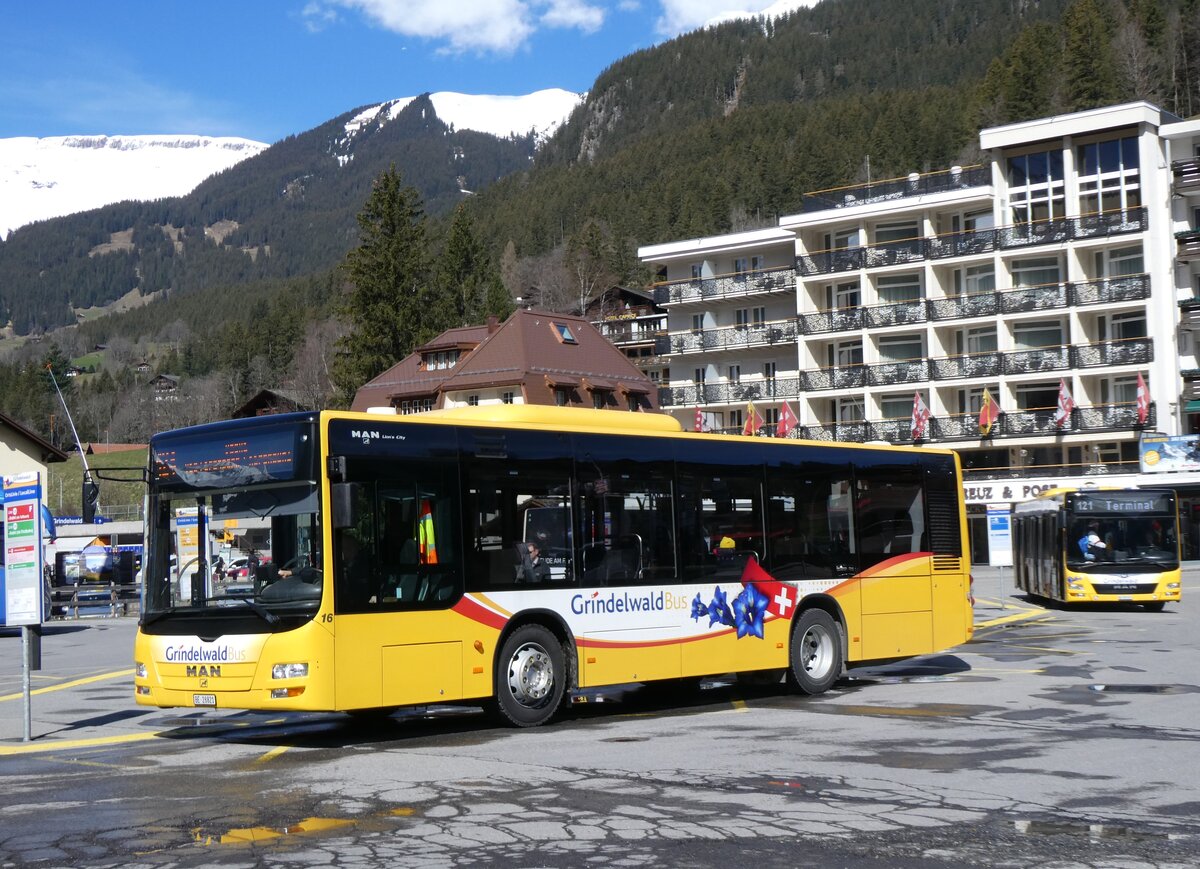 (260'515) - GrindelwaldBus, Grindelwald - Nr. 16/BE 28'821 - MAN am 19. Mrz 2024 beim Bahnhof Grindelwald