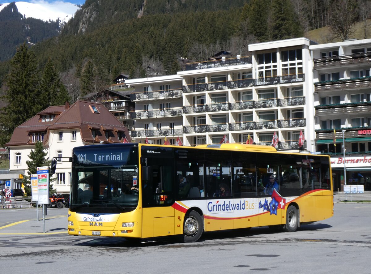 (260'527) - GrindelwaldBus, Grindelwald - Nr. 12/BE 356'085 - MAN am 19. Mrz 2024 beim Bahnhof Grindelwald