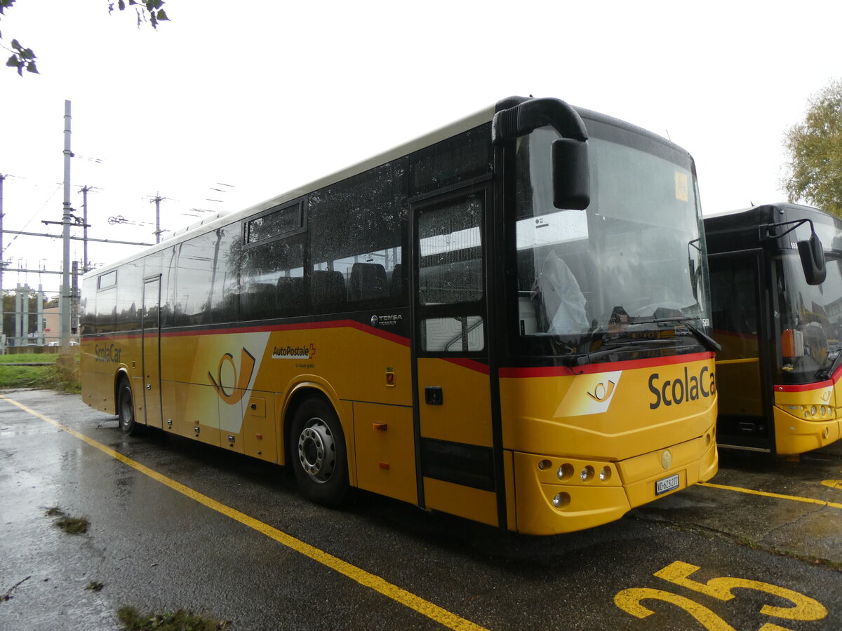 (267'629) - CarPostal Ouest - VD 623'277/PID 5350 - Temsa (ex ATV, Rivera Nr. 16; ex AutoPostale Ticino) am 1. Oktober 2024 in Yverdon Garage