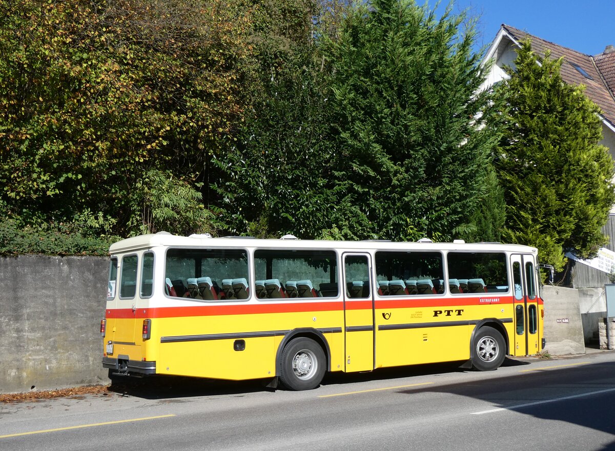 (268'432) - Schmid, Thrishaus - BE 26'206 - Saurer/Tscher (ex P 24'244) am 25. Oktober 2024 in Zwingen, Restaurant Waldeck