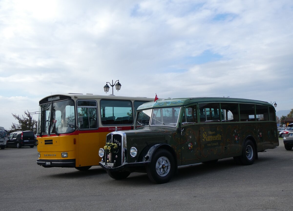 (268'724) - Aus der Schweiz: Lorenz, Lyssach - BE 2548 U - Saurer/Saurer (ex Geiger, Adelboden Nr. 8; ex P 1997) am 27. Oktober 2024 in Kintzheim, Cigoland