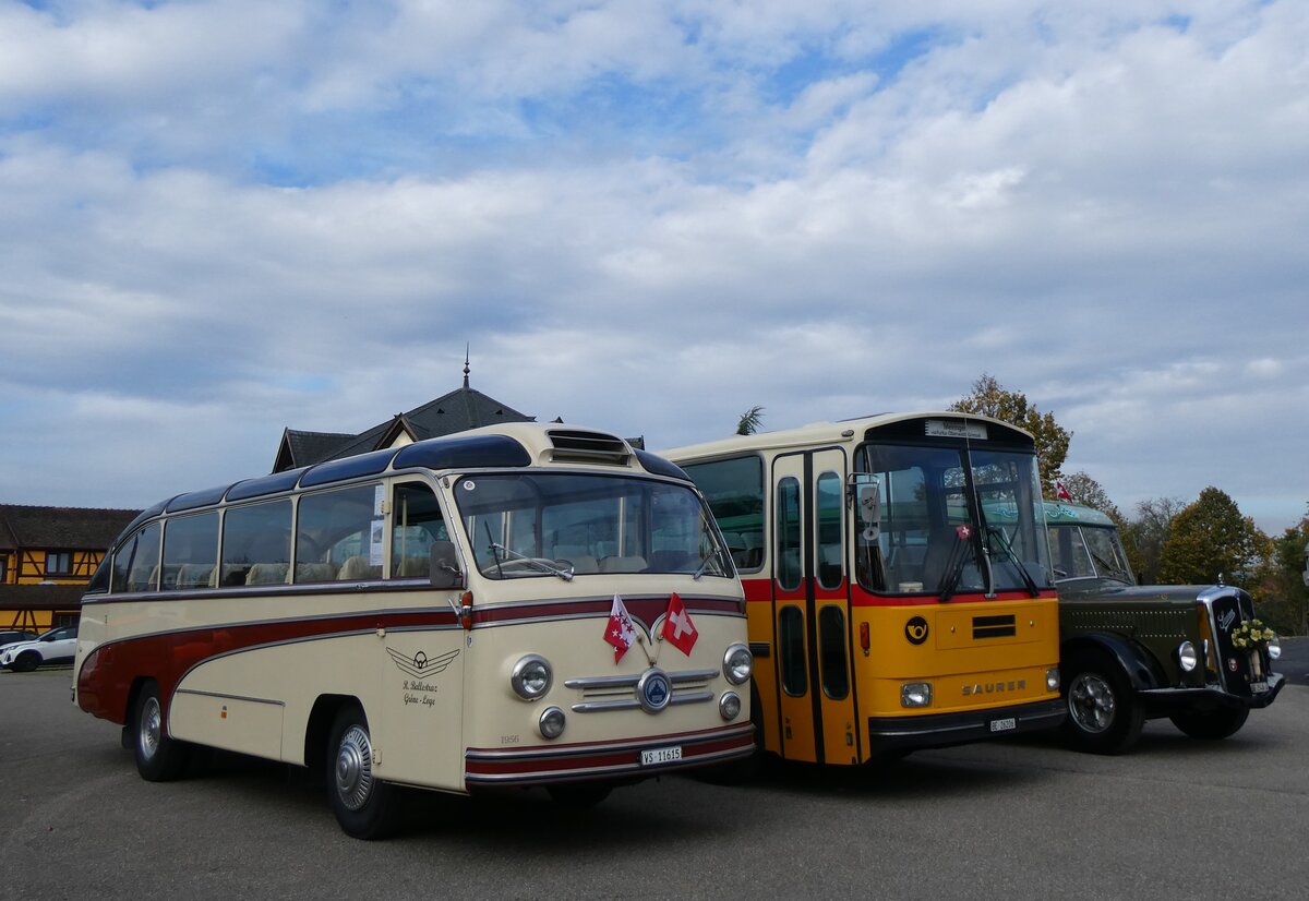 (268'735) - Aus der Schweiz: Ballestraz, Grne - VS 11'615 - Saurer/Saurer (ex Girardet, Yverdon) am 27. Oktober 2024 in Kintzheim, Cigoland