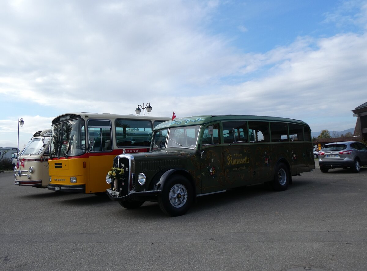 (268'737) - Aus der Schweiz: Lorenz, Lyssach - BE 2548 U - Saurer/Saurer (ex Geiger, Adelboden Nr. 8; ex P 1997) am 27. Oktober 2024 in Kintzheim, Cigoland