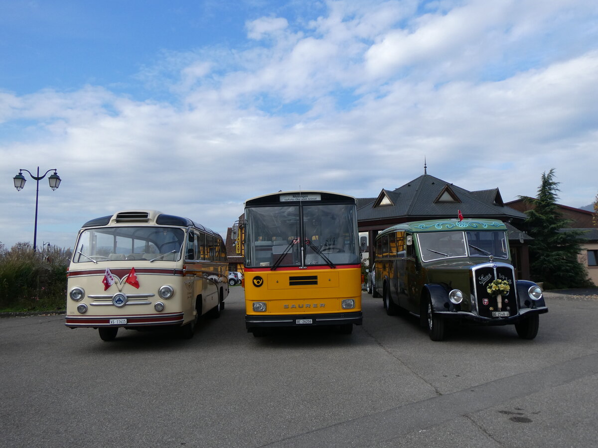 (268'739) - Aus der Schweiz: Ballestraz, Grne - VS 11'615 - Saurer/Saurer (ex Girardet, Yverdon) + Schmid, Thrishaus - BE 26'206 - Saurer/Tscher (ex P 24'244) + Lorenz, Lyssach - BE 2548 U - Saurer/Saurer (ex Geiger, Adelboden Nr. 8; ex P 1997) am 27. Oktober 2024 in Kintzheim, Cigoland