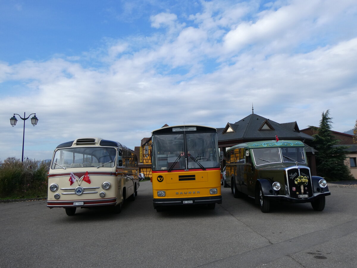 (268'740) - Aus der Schweiz: Ballestraz, Grne - VS 11'615 - Saurer/Saurer (ex Girardet, Yverdon) + Schmid, Thrishaus - BE 26'206 - Saurer/Tscher (ex P 24'244) + Lorenz, Lyssach - BE 2548 U - Saurer/Saurer (ex Geiger, Adelboden Nr. 8; ex P 1997) am 27. Oktober 2024 in Kintzheim, Cigoland