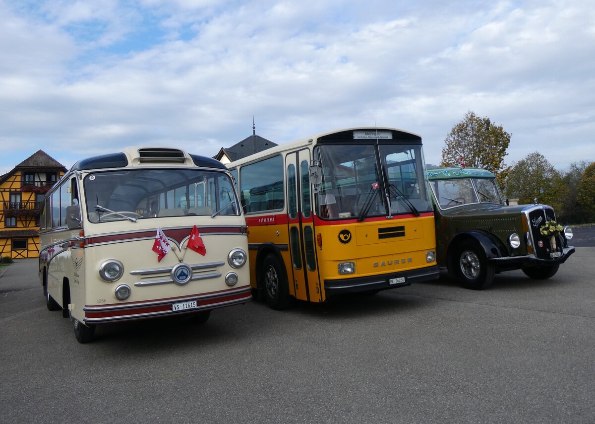 (268'743) - Aus der Schweiz: Ballestraz, Grne - VS 11'615 - Saurer/Saurer (ex Girardet, Yverdon) am 27. Oktober 2024 in Kintzheim, Cigoland