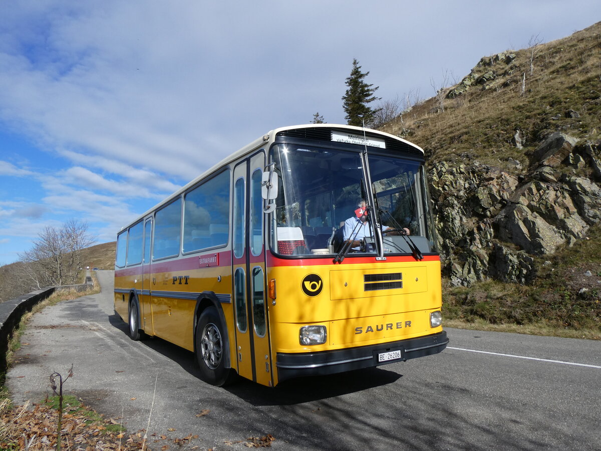 (268'766) - Aus der Schweiz: Schmid, Thrishaus - BE 26'206 - Saurer/Tscher (ex P 24'244) am 27. Oktober 2024 bei Rothenbach