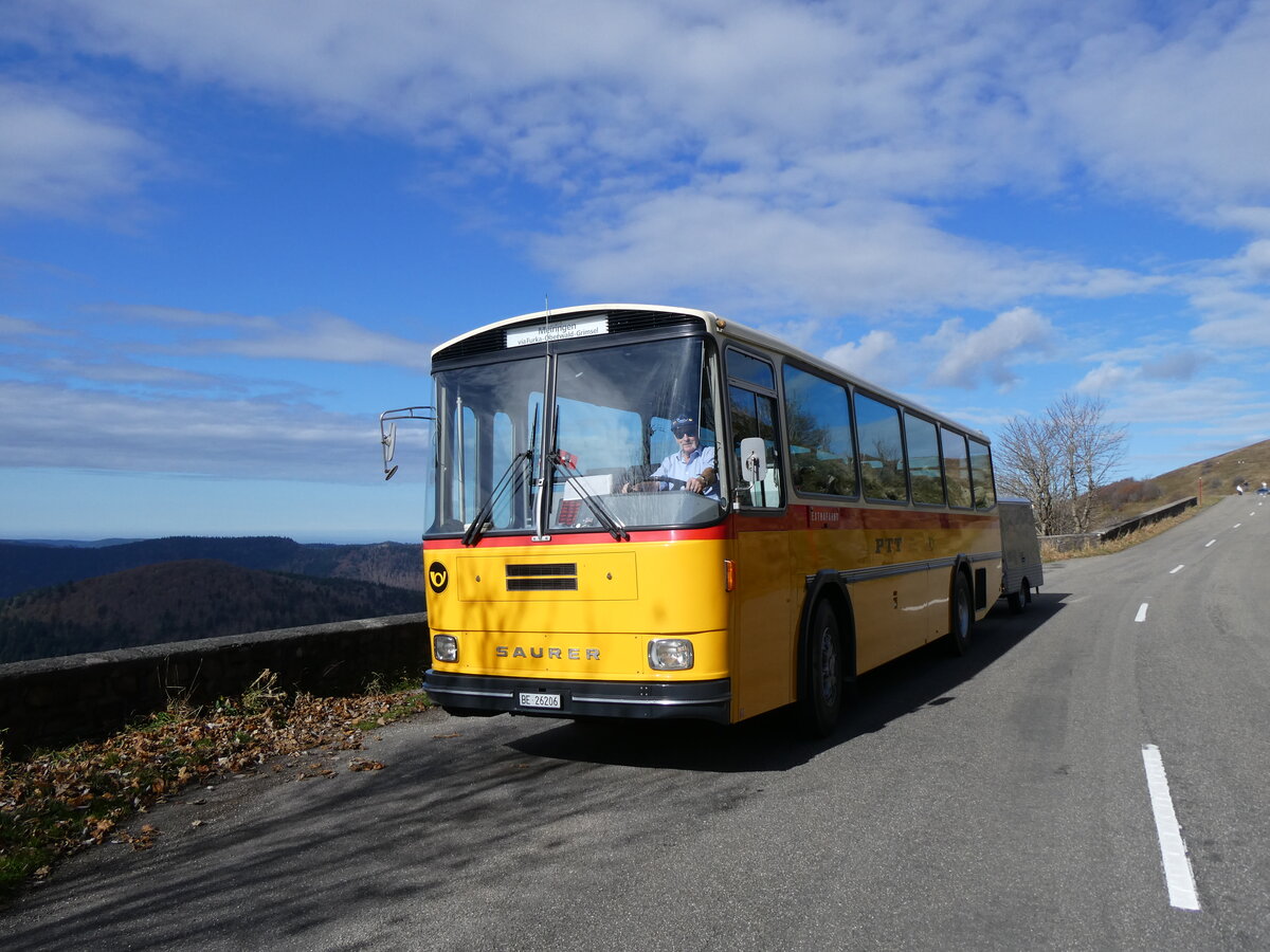 (268'767) - Aus der Schweiz: Schmid, Thrishaus - BE 26'206 - Saurer/Tscher (ex P 24'244) am 27. Oktober 2024 bei Rothenbach