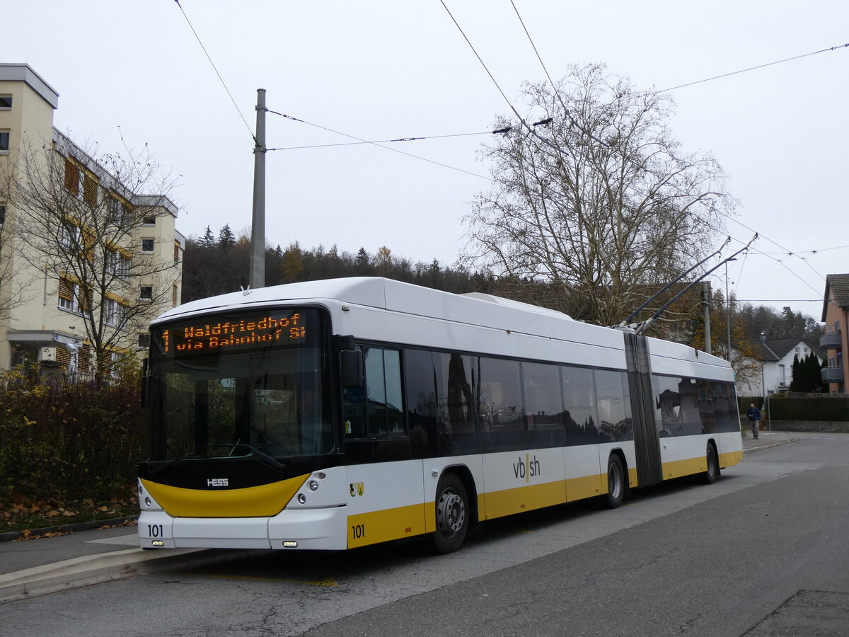 (269'308) - VBSH Schaffhausen - Nr. 101 - Hess/Hess Gelenktrolleybus am 21. November 2024 in Neuhausen, Herbstcker