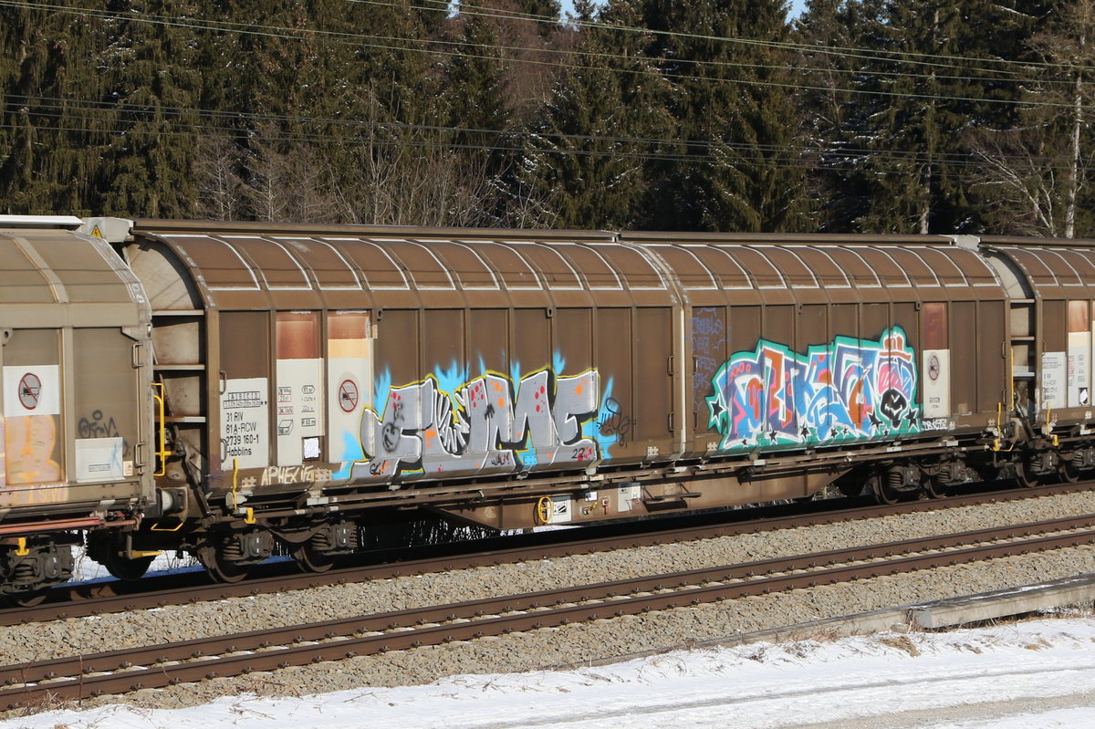 2739 160 (Habbiins) am 13. Februar 2021 bei Grabenst�tt.