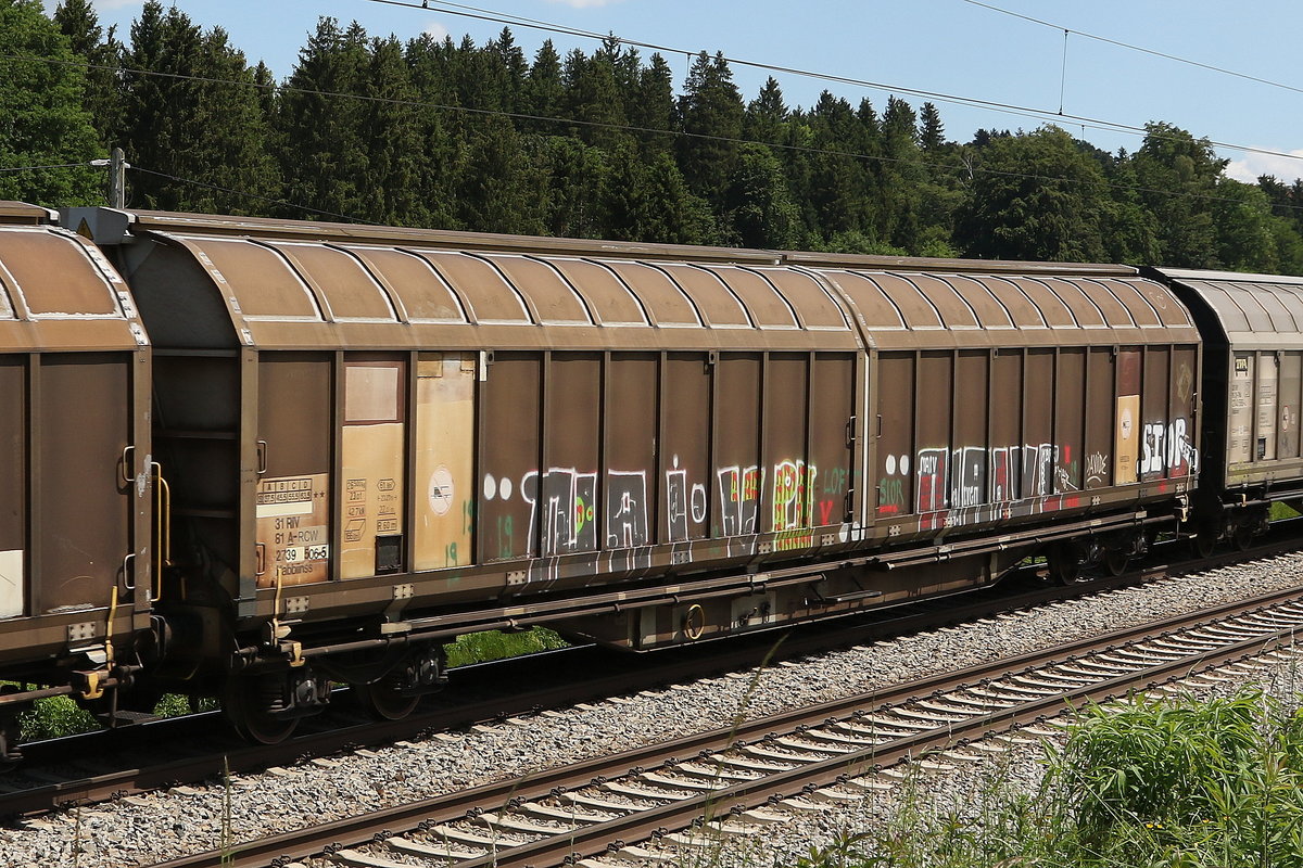 2739 506 (Habbiins) am 2. Juni 2020 bei Grabenst�tt.