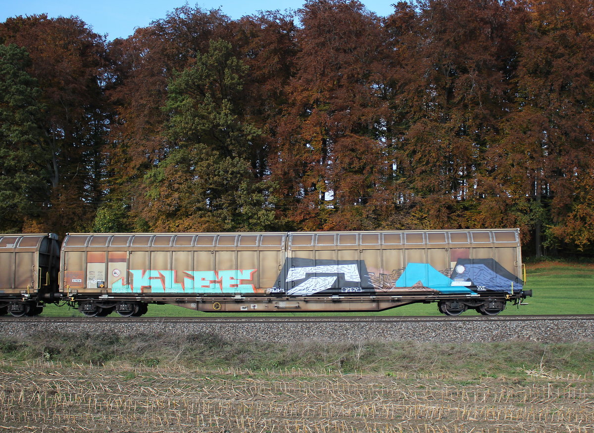 2741 xxx (Habbiins) am 31. Oktober 2016 bei Traunstein.