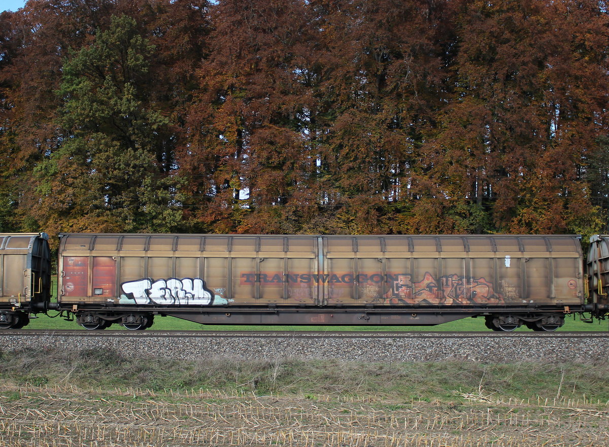 2742 293-4 (Habbiins) am 31. Oktober 2016 bei Traunstein.