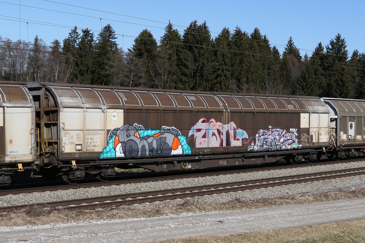 2742 365 (Habbiins) am 1. M�rz 2021 bei Grabenst�tt im Chiemgau.