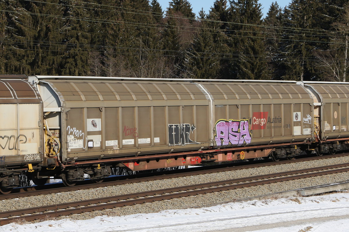 2743 181 (Habbiins) am 13. Februar 2021 bei Grabenst�tt.