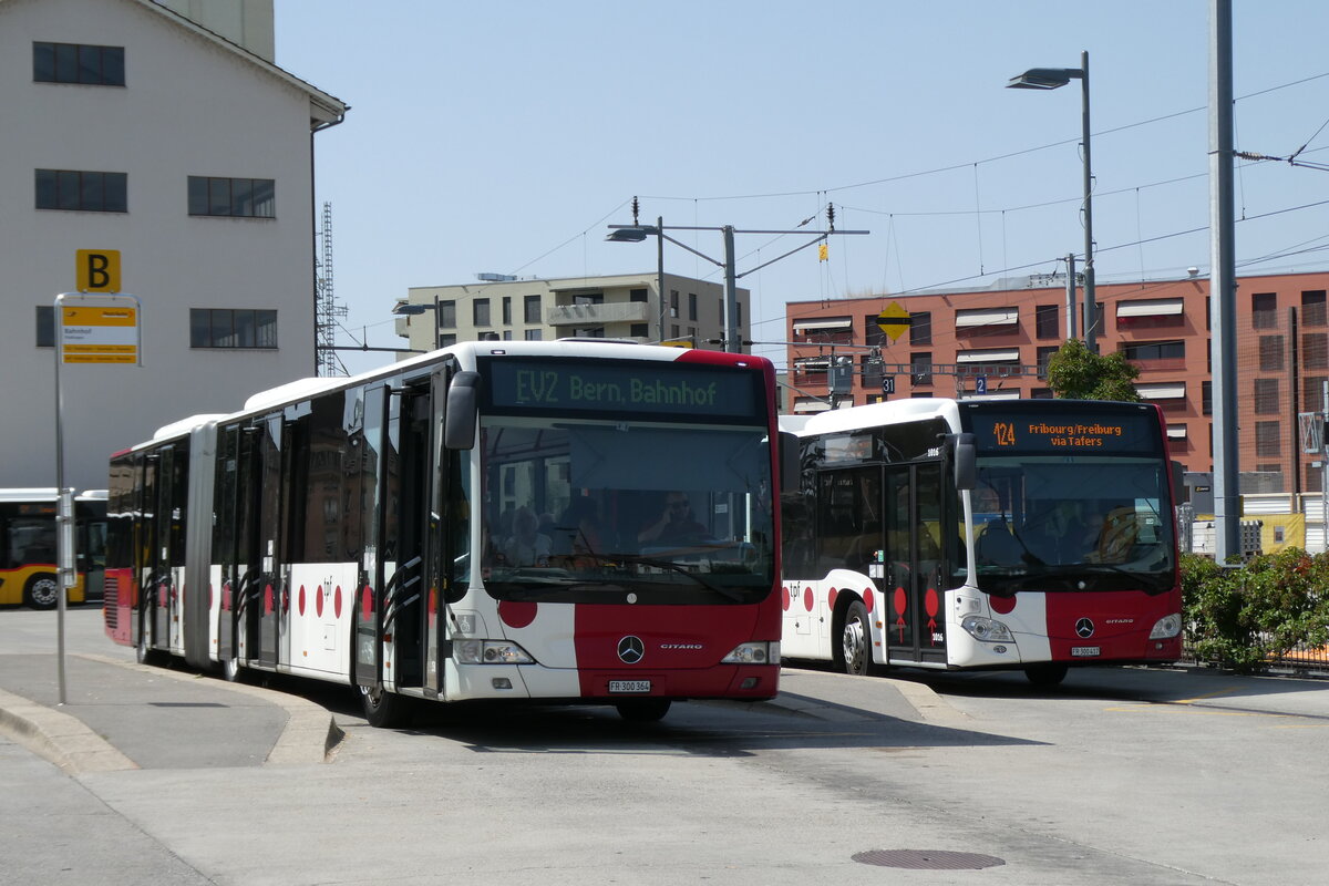 (278'868) - TPF Fribourg - Nr. 158/FR 300'364 - Mercedes am 15. August 2025 beim Bahnhof Ddingen