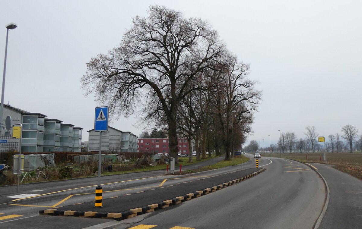 (283'132) - STI-Haltestellen am 13. Dezember 2025 in Thun, Allmendhof