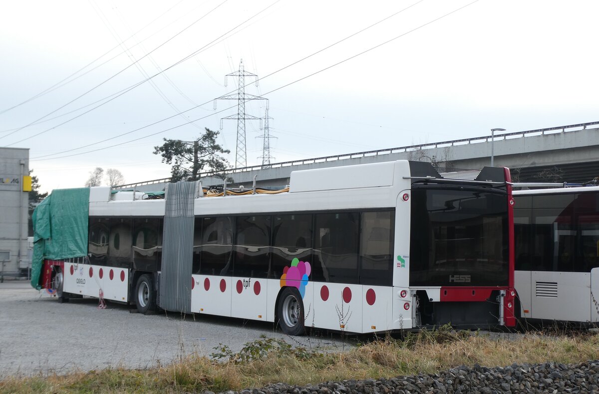(284'270) - TPF Fribourg - Nr. 6610 - Hess/Hess Gelenktrolleybus am 17. Januar 2026 in Kerzers, Murtenstrasse