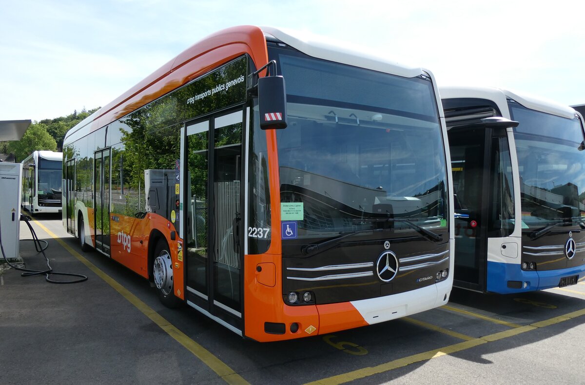 (286'687) - Globe-Limo, Le Lignon - Nr. 2237 - eMercedes am 2. Mai 2026 in Winterthur, Daimler Buses