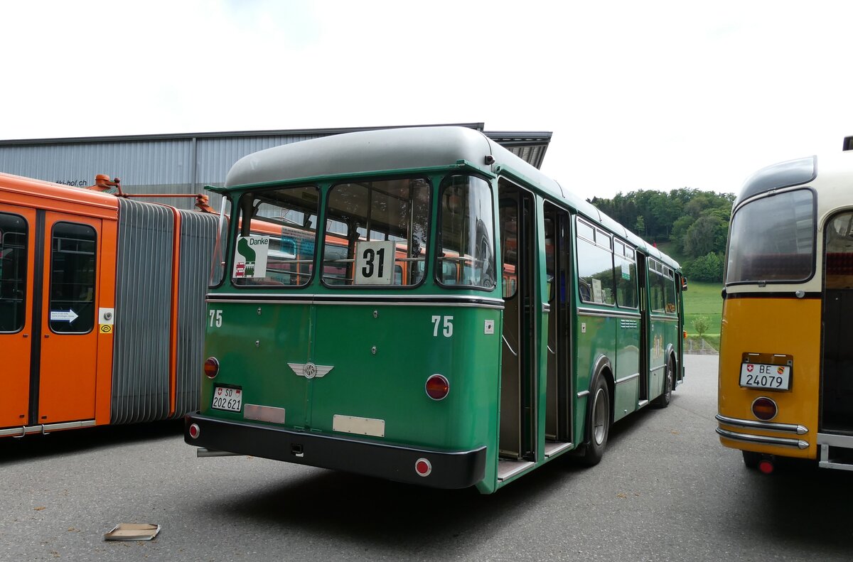 (286'776) - BVB Basel (RWB) - Nr. 75/SO 202'621 - FBW/FHS am 3. Mai 2026 in Burgdorf, �kihof Ziegelgut
