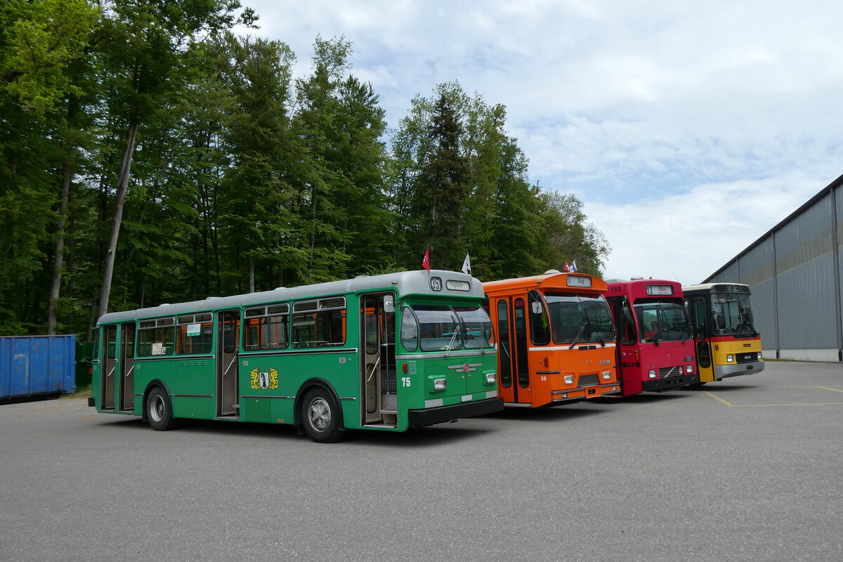 (286'784) - BVB Basel (RWB) - Nr. 75/SO 202'621 - FBW/FHS am 3. Mai 2026 in Burgorf, �kihof Ziegelgut