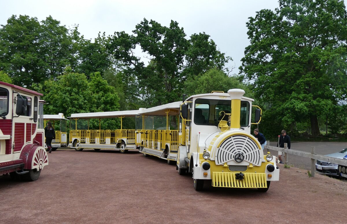 (287'736) - �lgsafara, Malkaryd - am 8. Juni 2026 in Malkaryd, �lgsafari