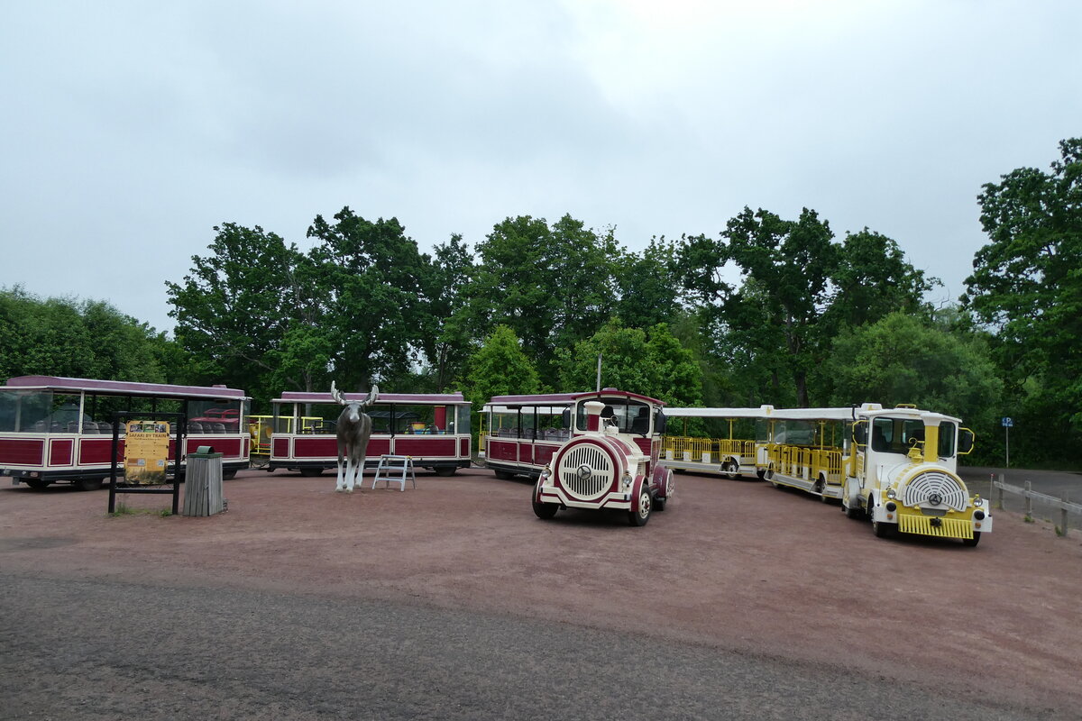 (287'739) - 2 x �lgsafari, Markaryd - am 8. Juni 2026 in Markaryd, �lgsafari