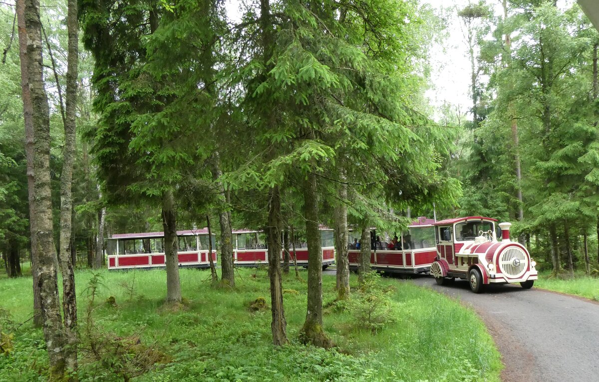 (287'781) - �lgsafari, Markaryd - am 8. Juni 2026 in Markaryd, �lgsafari