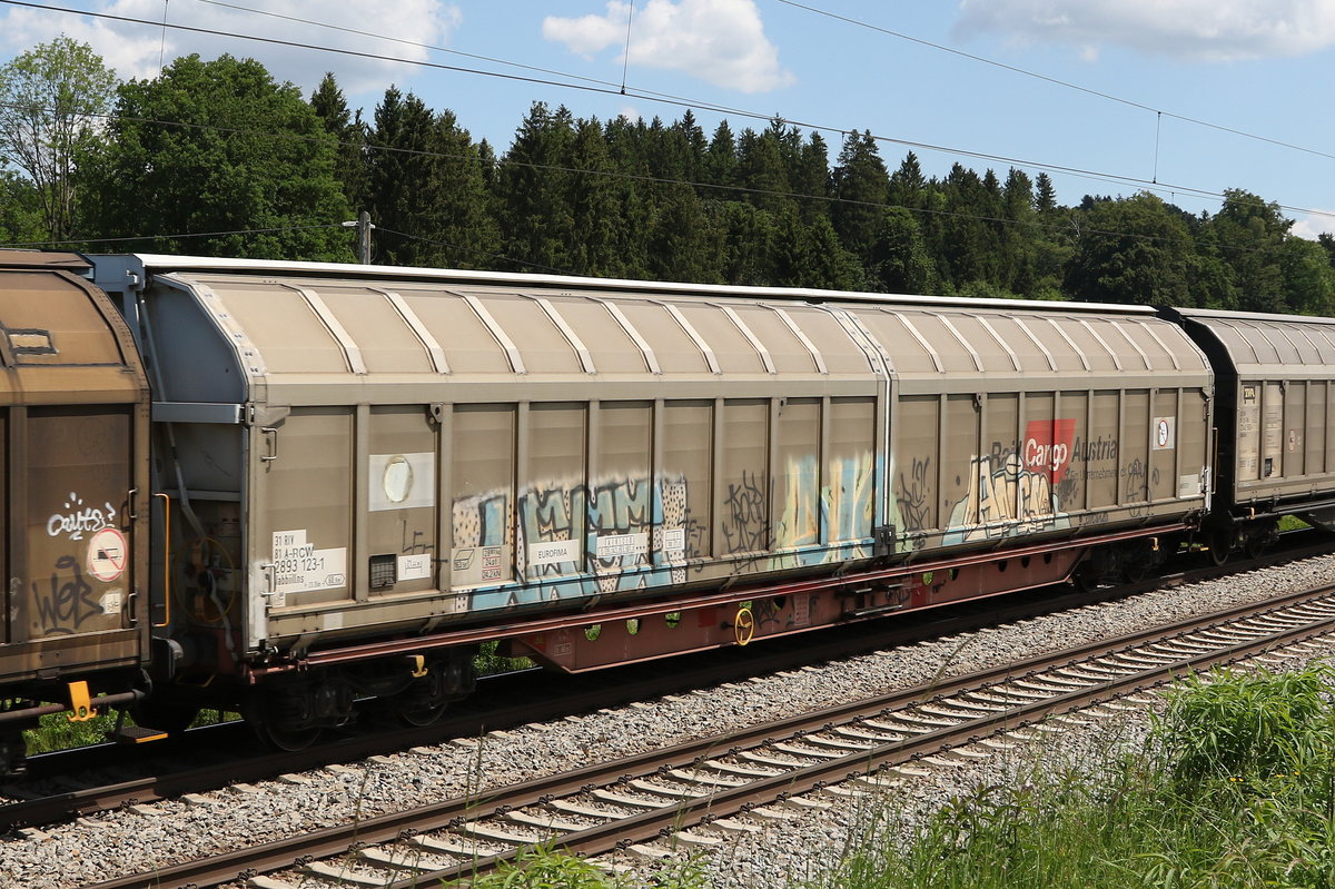 2892 123 (Habbiillns) von  Rail Cargo Austria  am 2. Juni 2020 bei Grabenst�tt