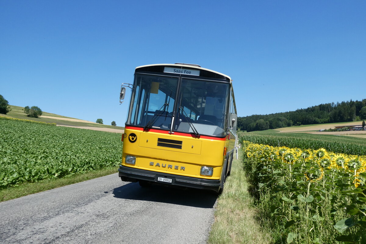 (289'379) - Rupp, Zumikon - ZH 89'802 - Saurer/T�scher (ex Eyer, Gamsen; ex P 24'401) am 4. Juli 2026 in Weisslingen, Theiligerstrasse